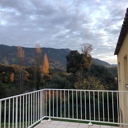 Superbe Appartement Vue Montagne Proximites Grandes Surfaces Poggi Eksteriør bilde