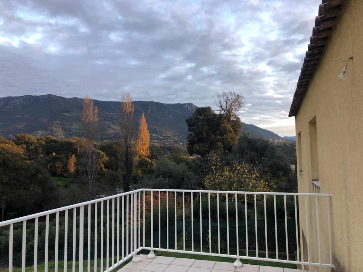 Superbe Appartement Vue Montagne Proximites Grandes Surfaces Poggi Eksteriør bilde